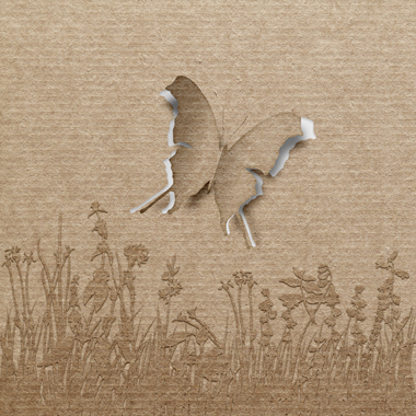 Butterfly   Af   Jakub   Stodulski
