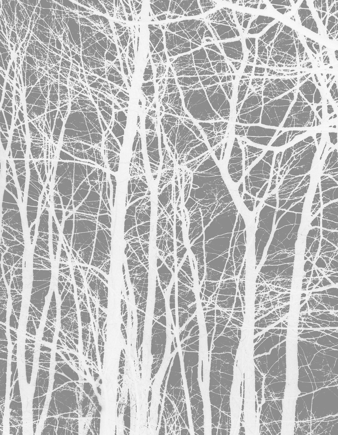 Cherrytree   Grey   Af   Kirsten   Stigsgaard