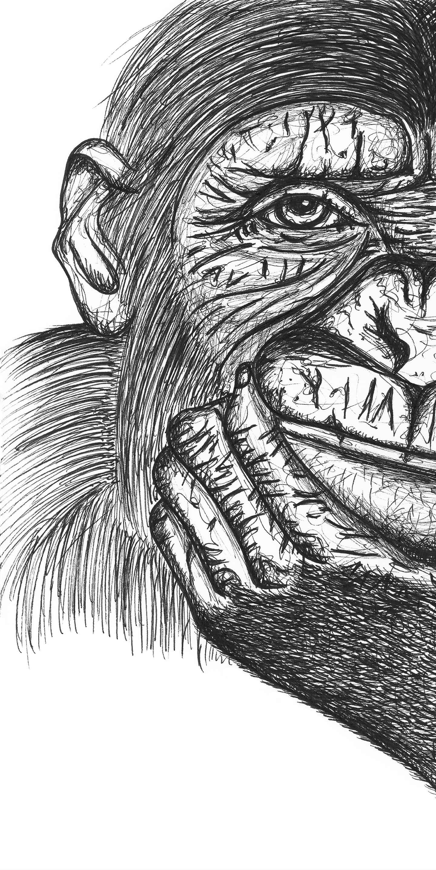 Chimpansen   Hector   Af   Tina   Seirup   Nielsen