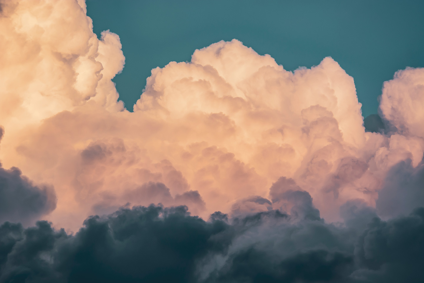 Clouds        Af   Tal   Paz - Fridman