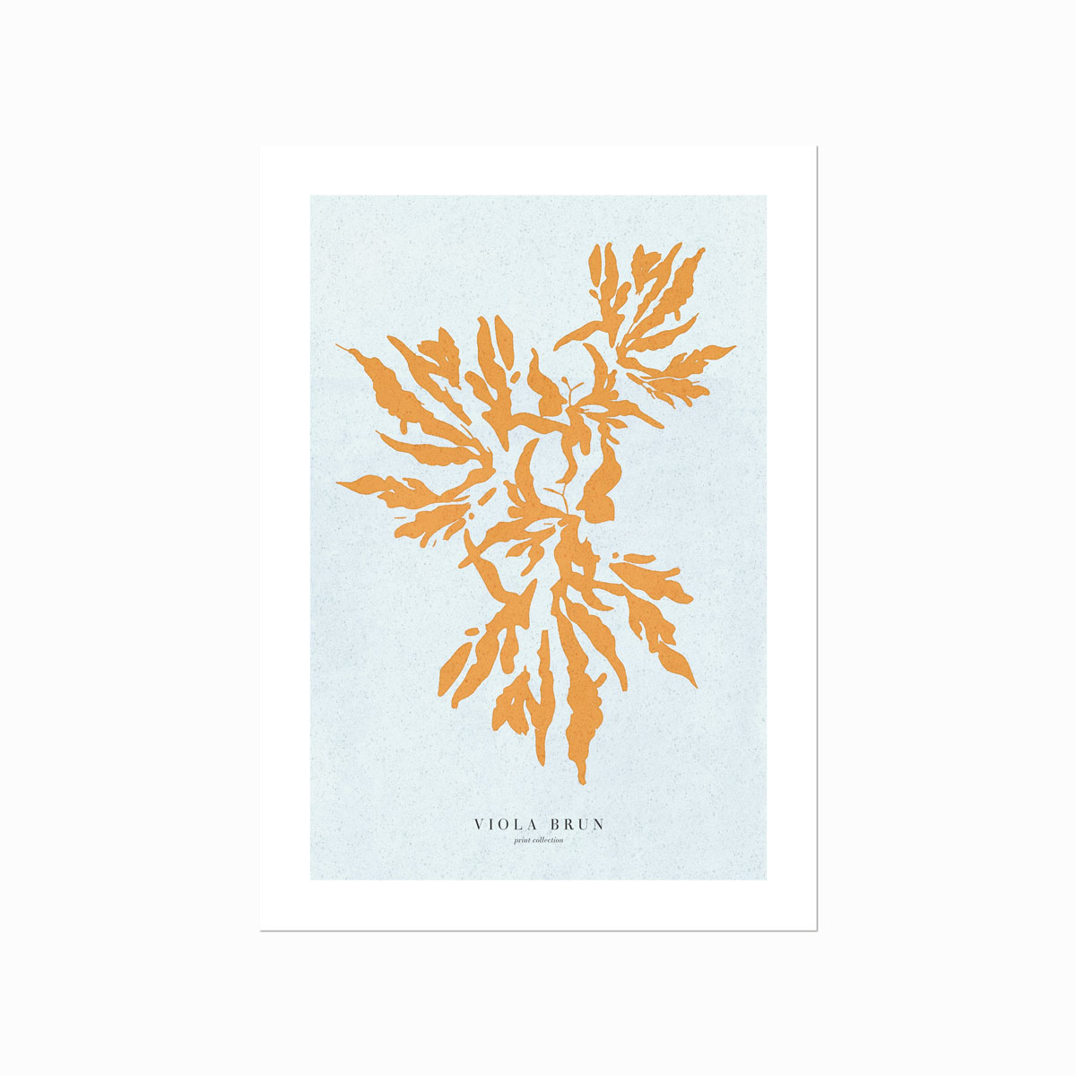 Corals Burnt Sienna