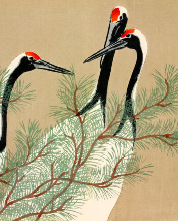 Cranes   From   Momoyogusa   Af   Plakatwerket