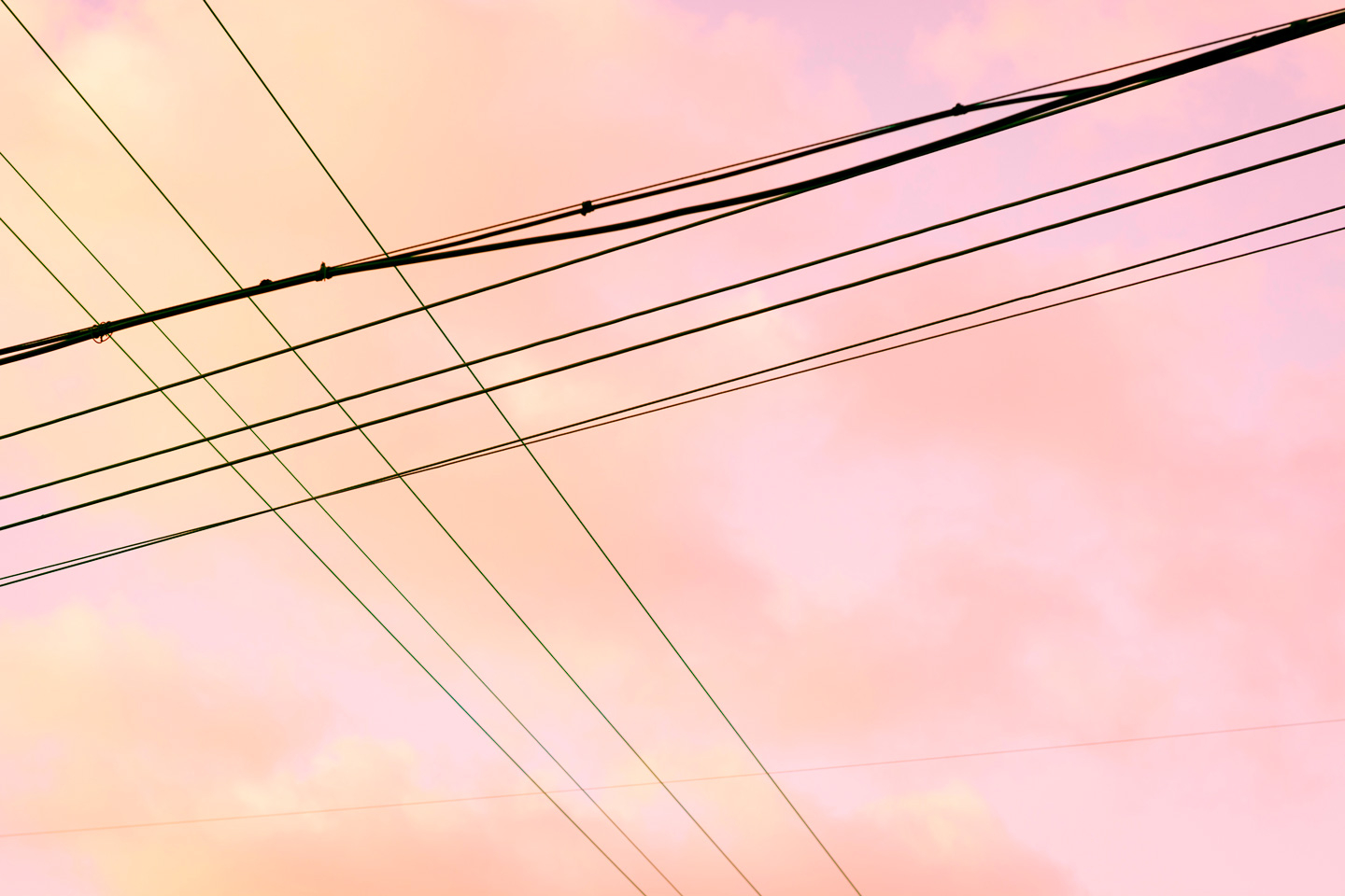 Crossroads   Af   Tal   Paz - Fridman