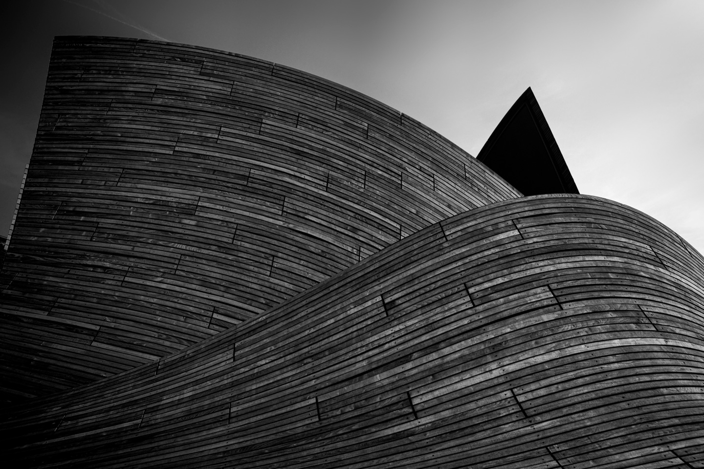 Curves   Af   Gustavo   Orensztajn