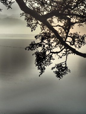 Dawn   Af   Bytraberg