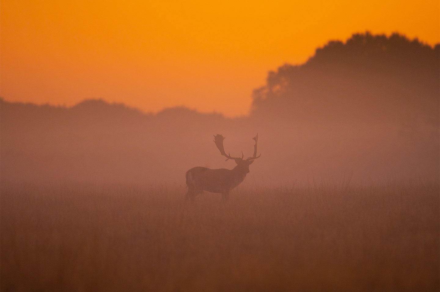 Dawning   Of   A   New   Day   Af   Daniel   Faisst