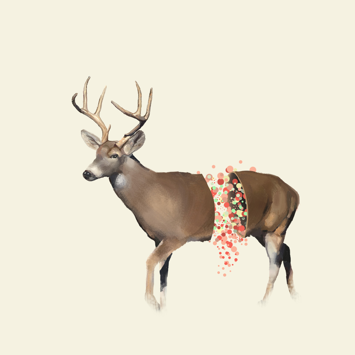 Deer   Af   Mads   Hindhede