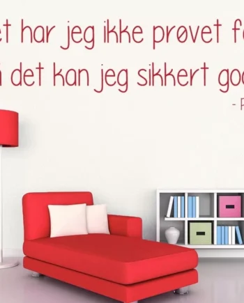 Det   Har   Jeg   Ikke   Prøvet   Før   Wallsticker