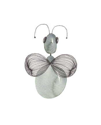 Diptera   Af   Lise   Søgaard