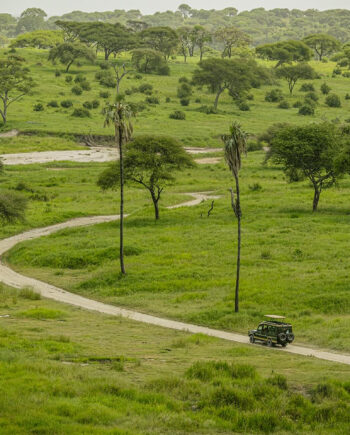 Driving   Into   The   Wild   Af   Rasmus   Gundorff   Sæderup