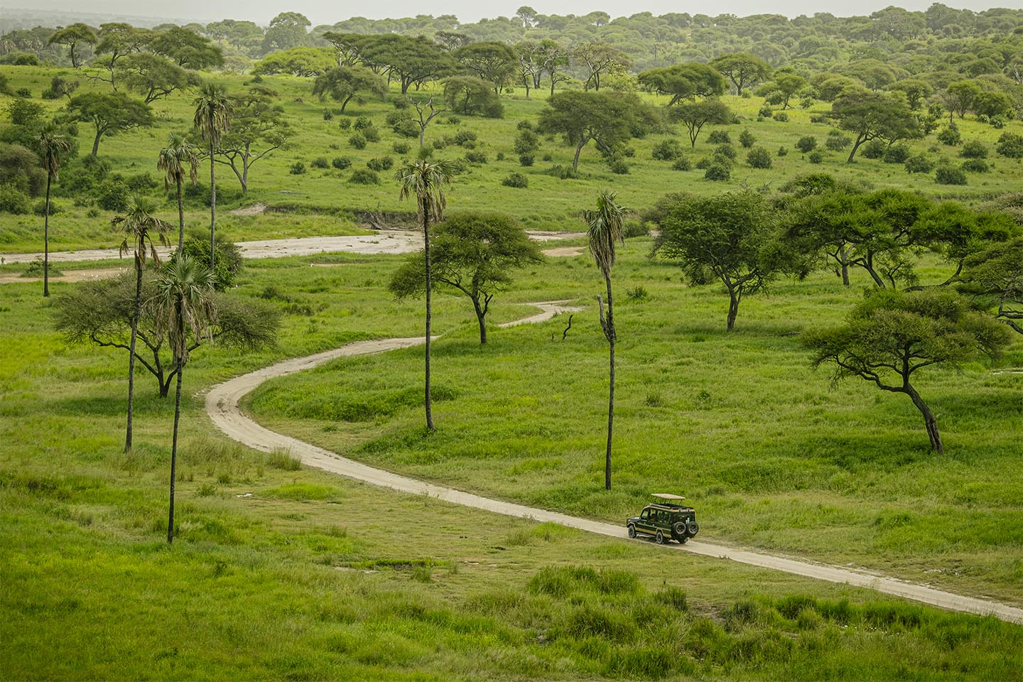 Driving   Into   The   Wild   Af   Rasmus   Gundorff   Sæderup