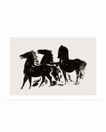 Duarte   Pereira    Portuguese   Horses