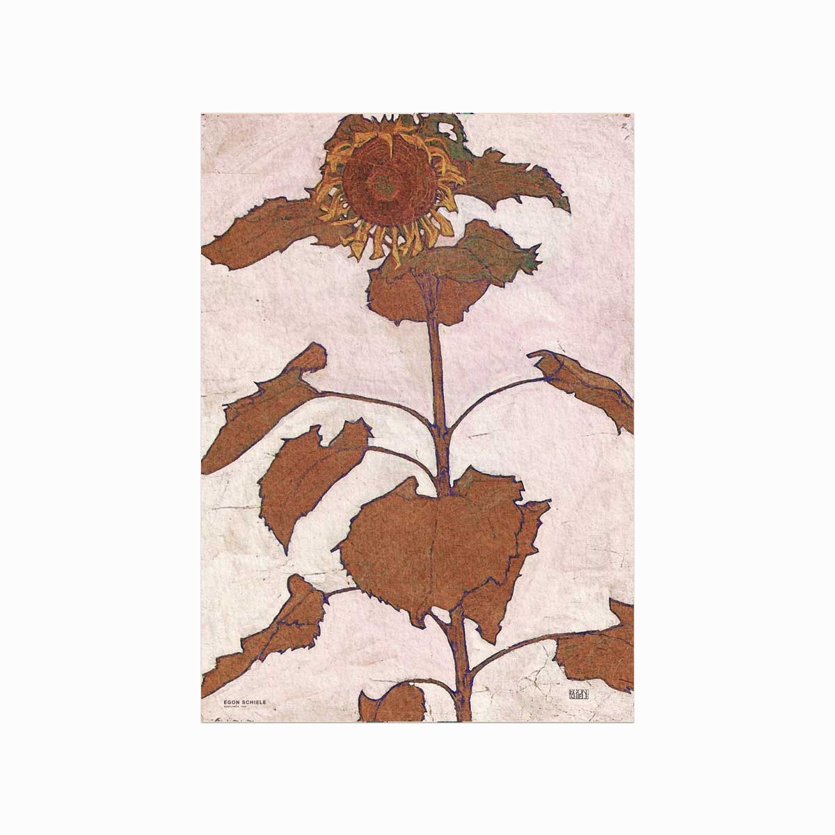 Egon Schiele Sunflower 1909