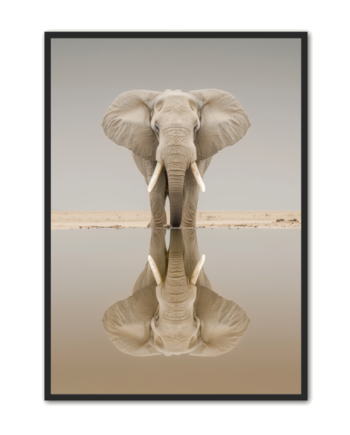 Elefant   Plakat