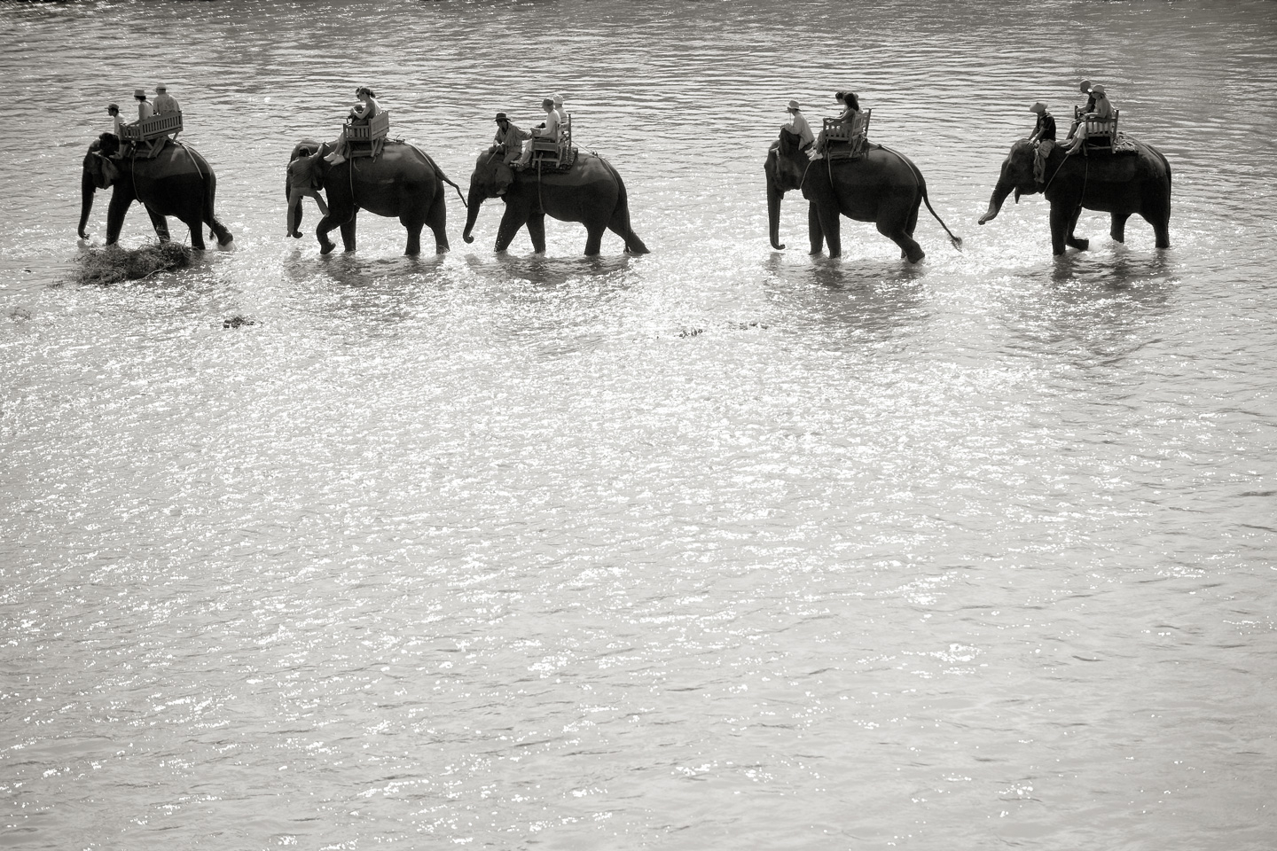 Elephant   Ride   Af   Julie   Aucoin