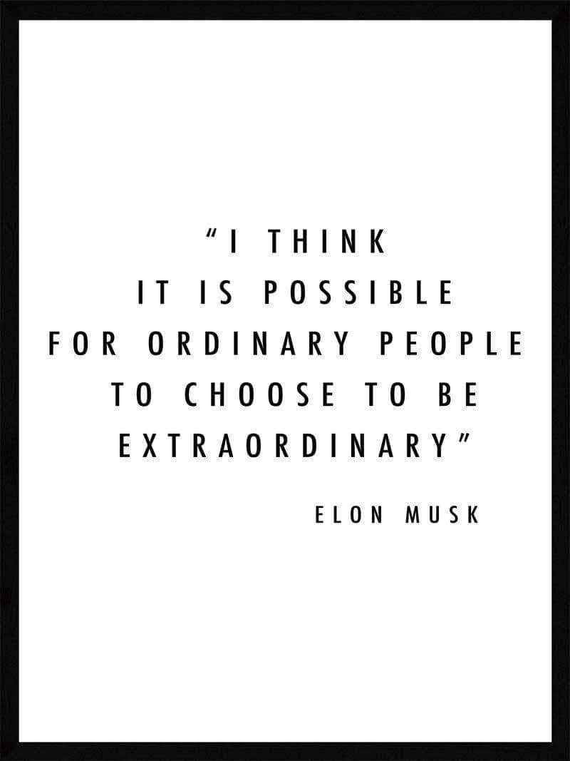 Extraordinary   Elon   Musk   Plakat
