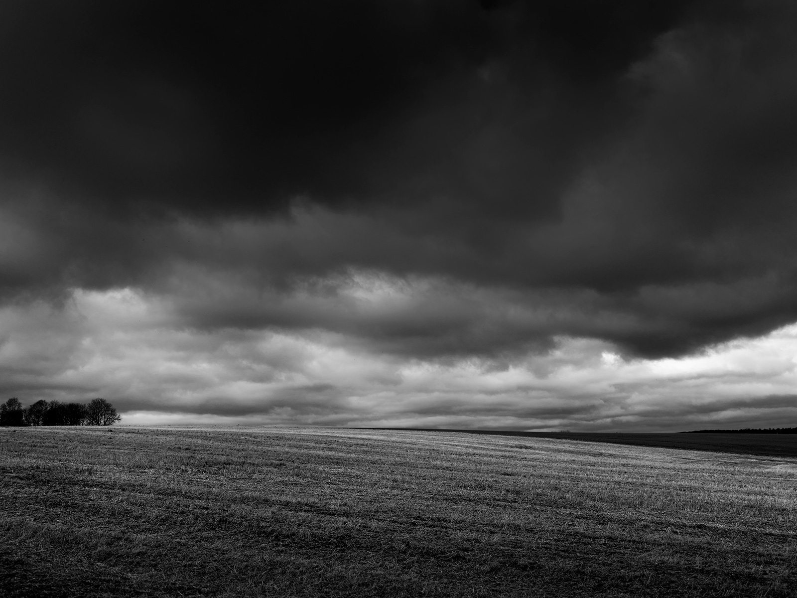 Fields   Af   Jakob   Evers