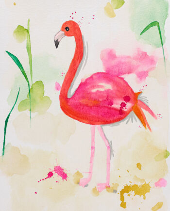 Flamingo   Af   Leo   Mio