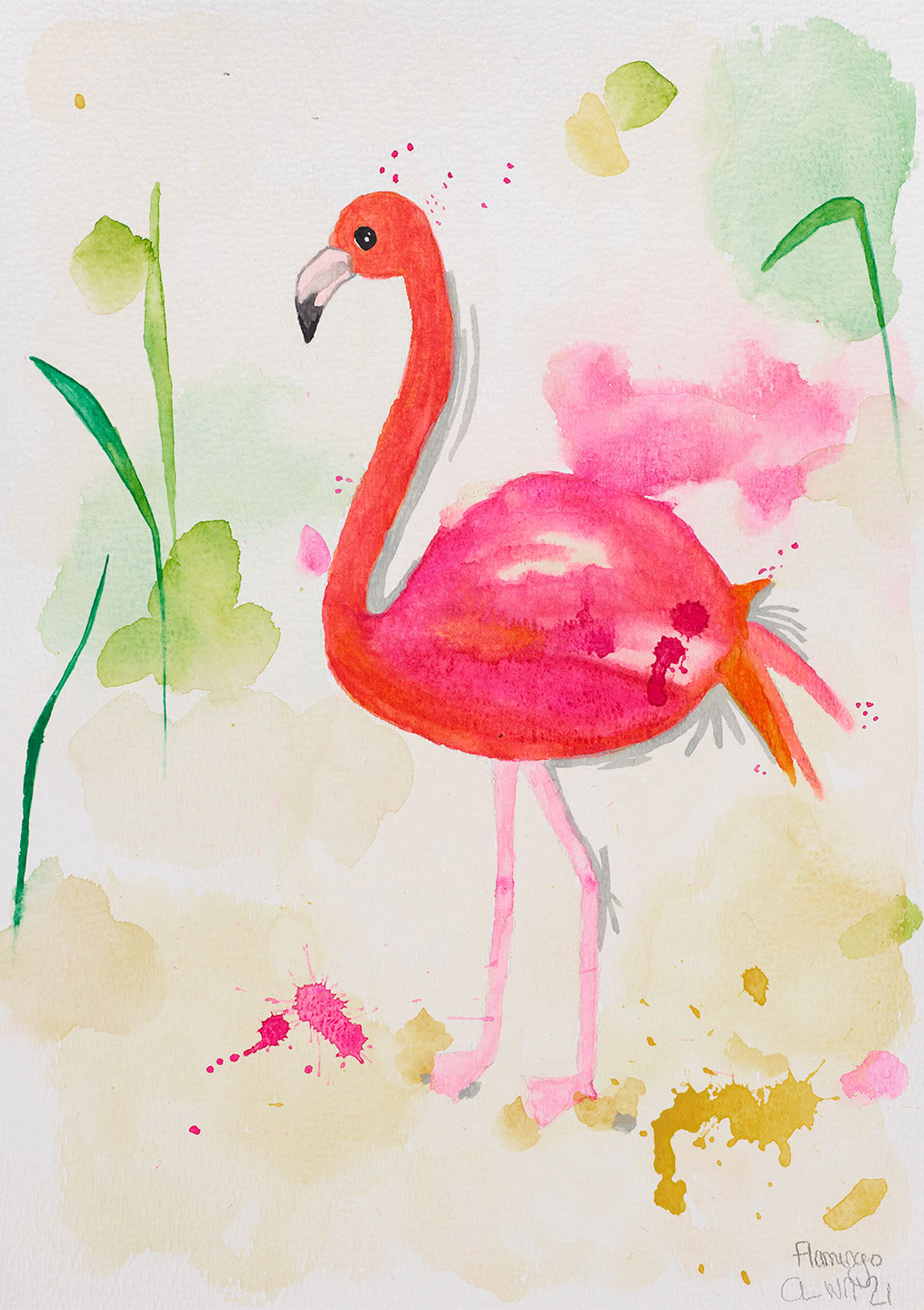 Flamingo   Af   Leo   Mio