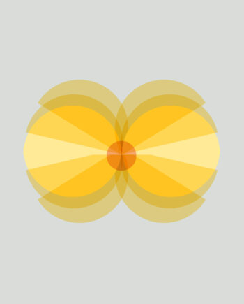 Flower   Af   Myro   Graphics