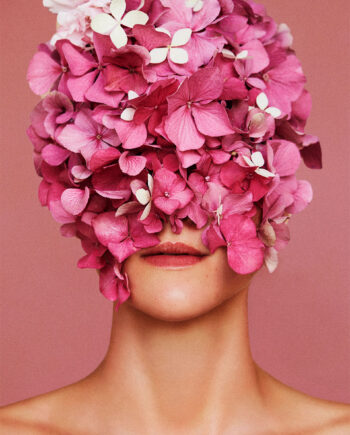 Flowerhead   Pink   Af   Camilla   Schmidt