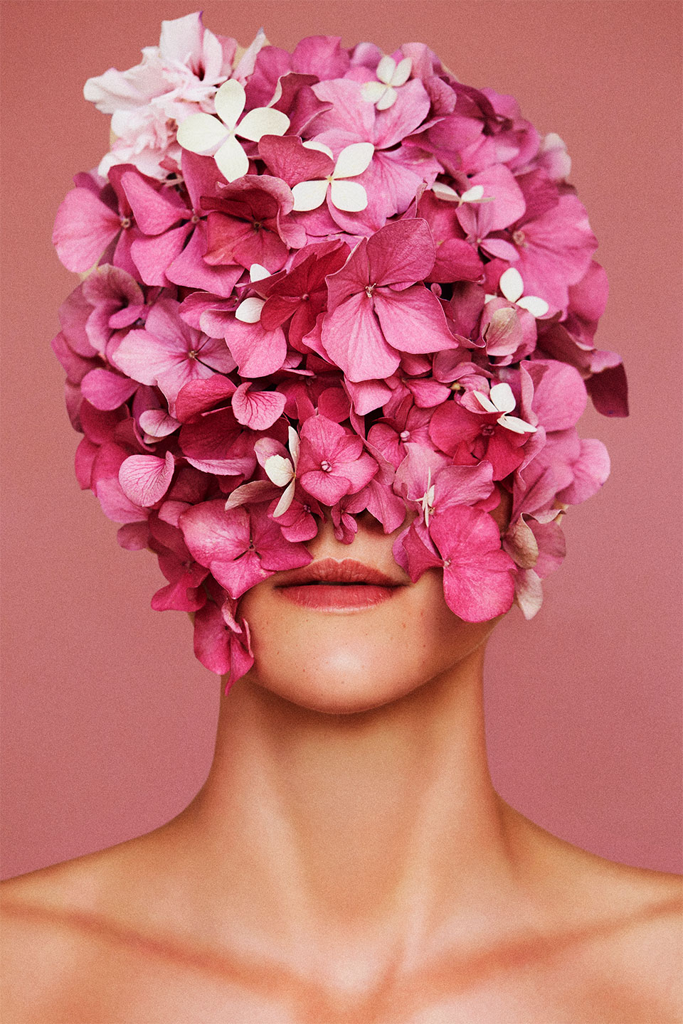 Flowerhead   Pink   Af   Camilla   Schmidt