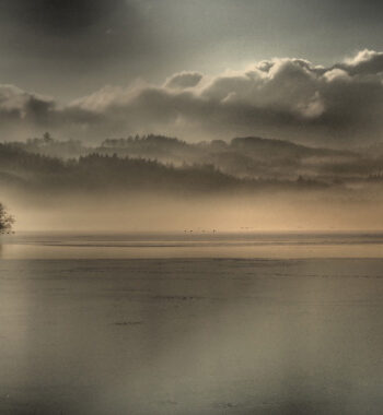 Fog   Af   Bytraberg