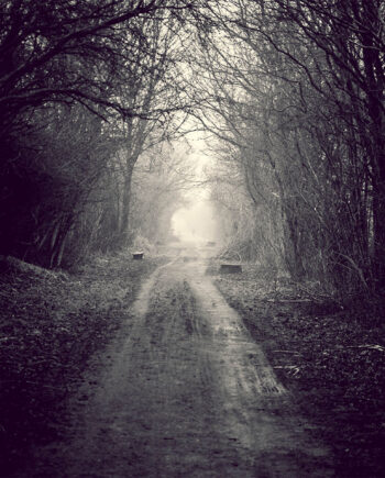 Foggy   Path   Af   Henrik   Hansen