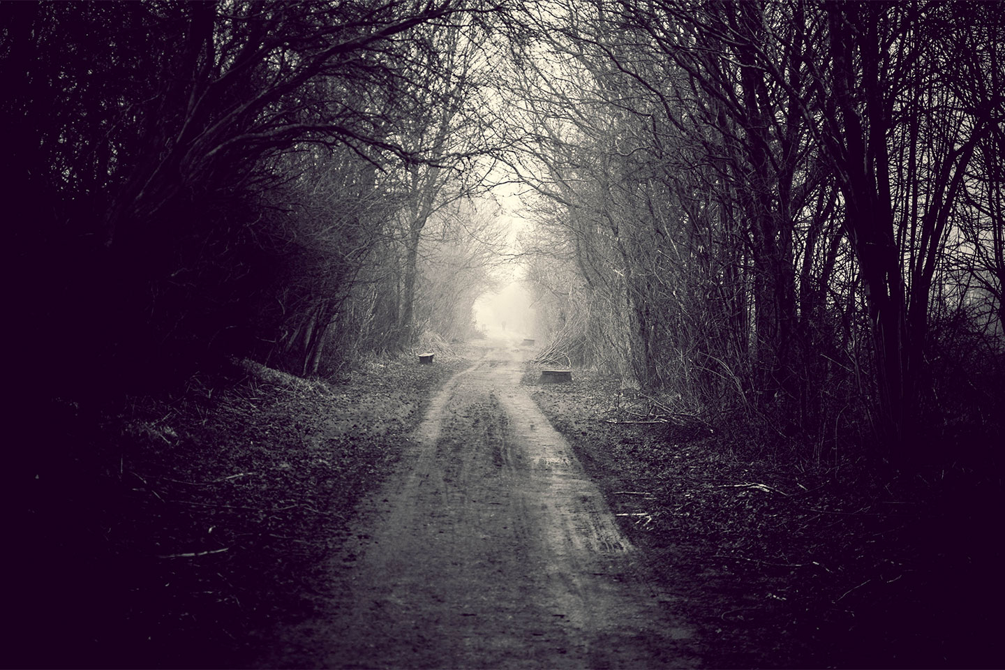 Foggy   Path   Af   Henrik   Hansen