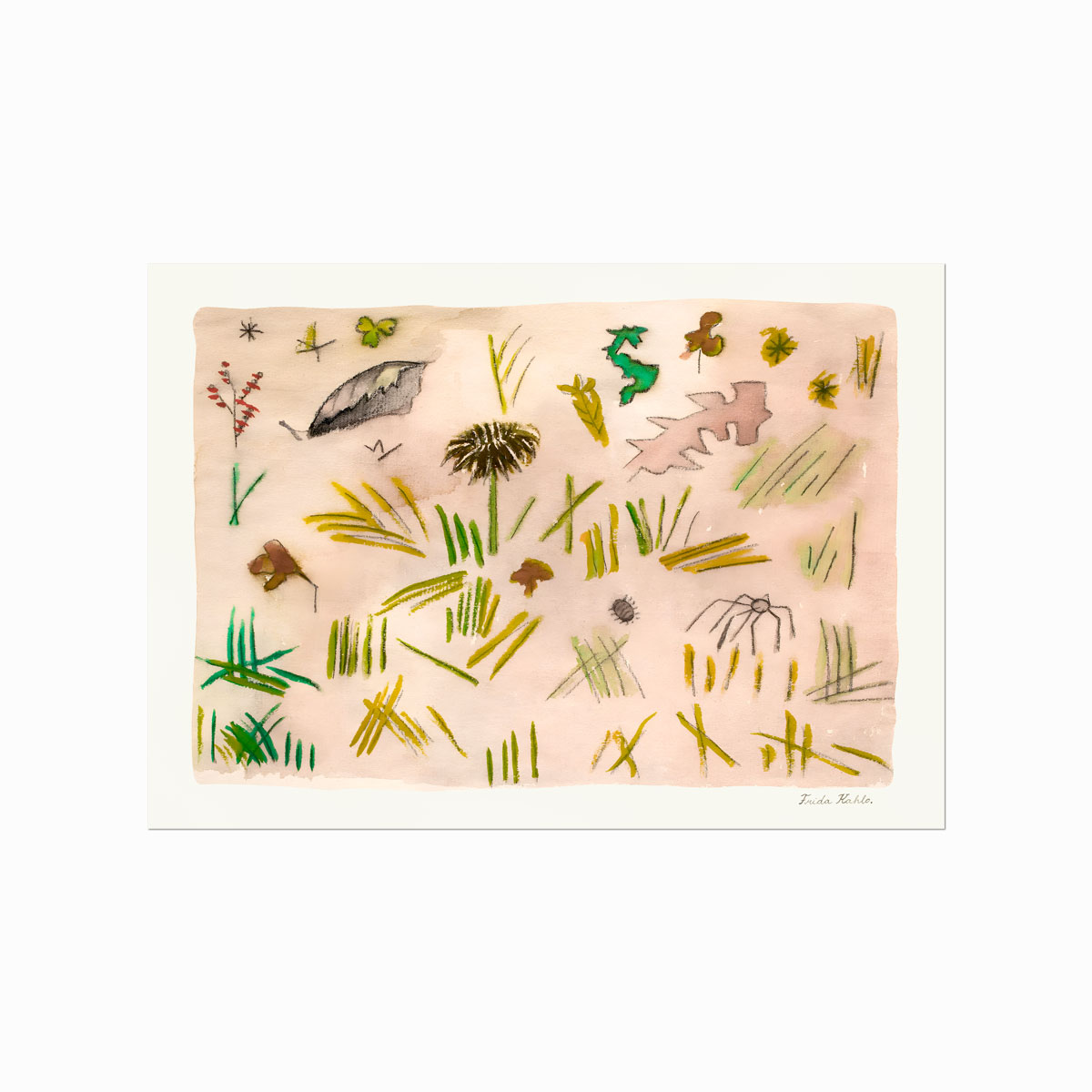 Frida   Kahlo    Pequena   Vida    Little   Life