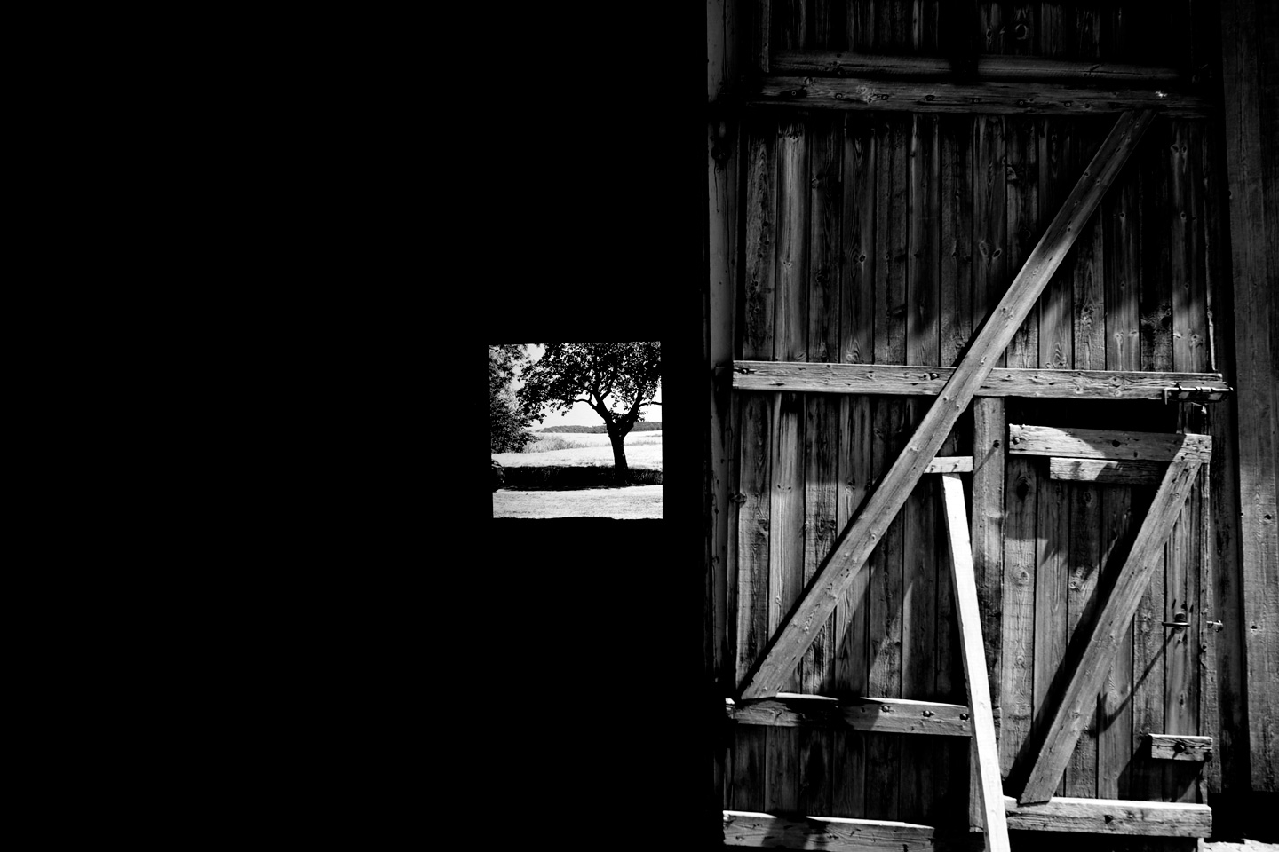 Gatethrough   Af   David   Foli