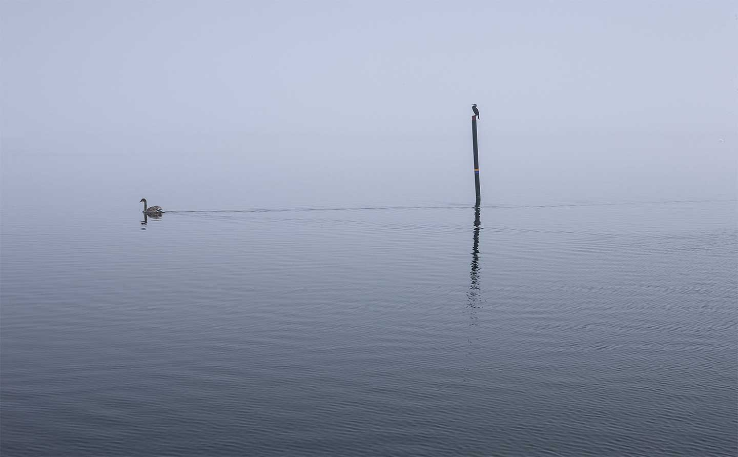 Glænø   Af   Jørgen   Bausager