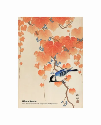 Great   Tit   On   Paulownia   Branch