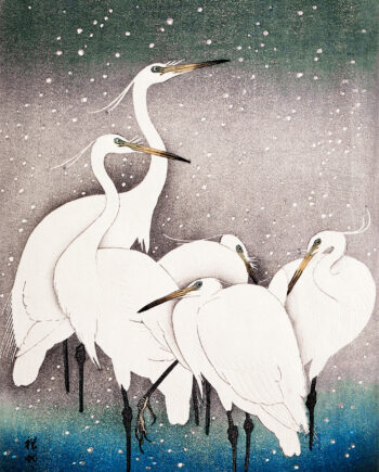 Group   Of   Egrets   Af   Plakatwerket