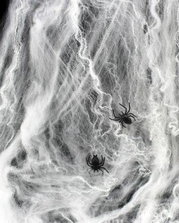 Halloween   Spindelvæv   Med   Edderkopper    Skab   Uhyggelig   Stemning
