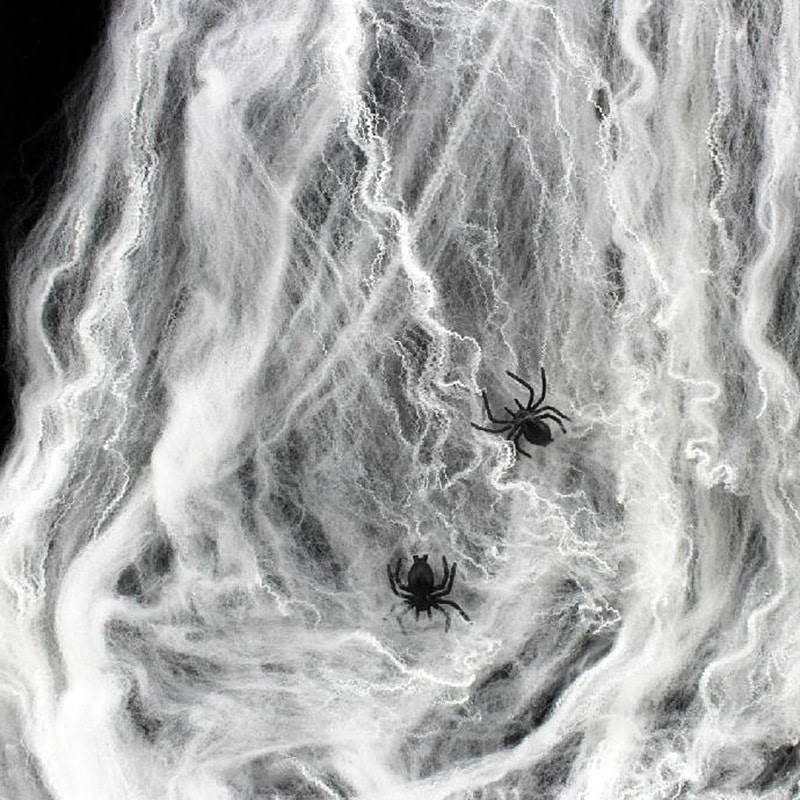 Halloween Spindelvæv Med Edderkopper Skab Uhyggelig Stemning