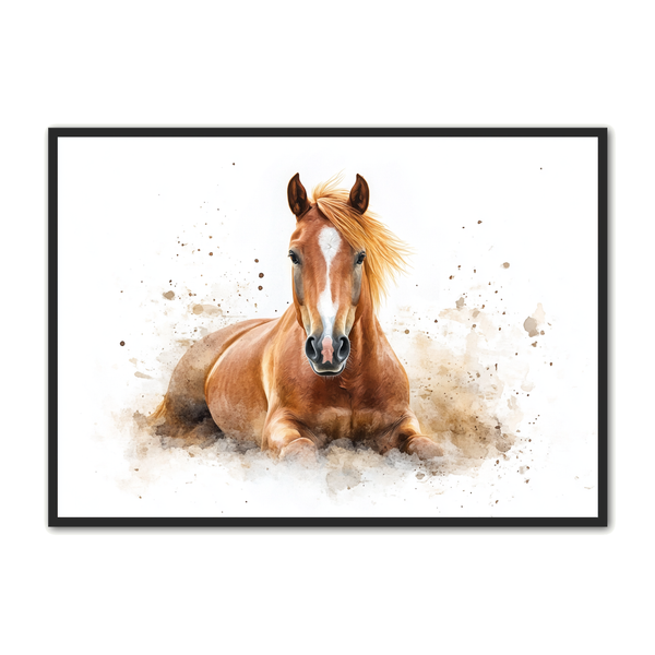 Hest   Plakat   48   Liggende   Hest   I   Naturlig   Ro