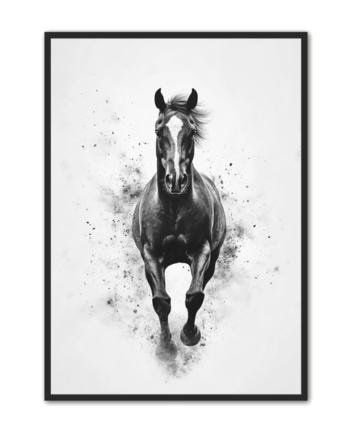 Hest   Plakat   52   Sort   Hest   I   Fuld   Galop