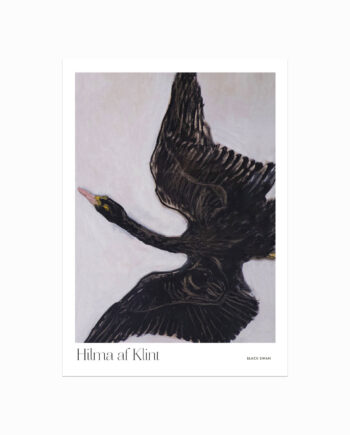 Hilma   Af   Klint    Black   Swan