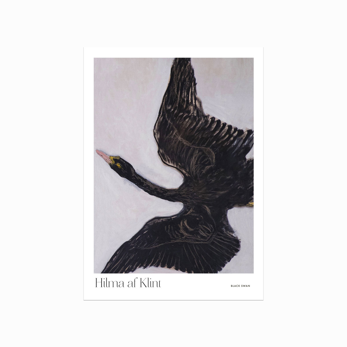 Hilma Af Klint Black Swan