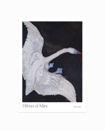 Hilma   Af   Klint    White   Swan