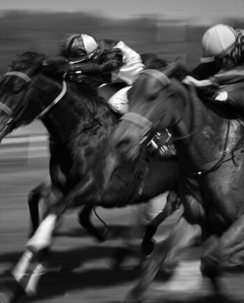 Horse   Race   Af   Jakob   Evers