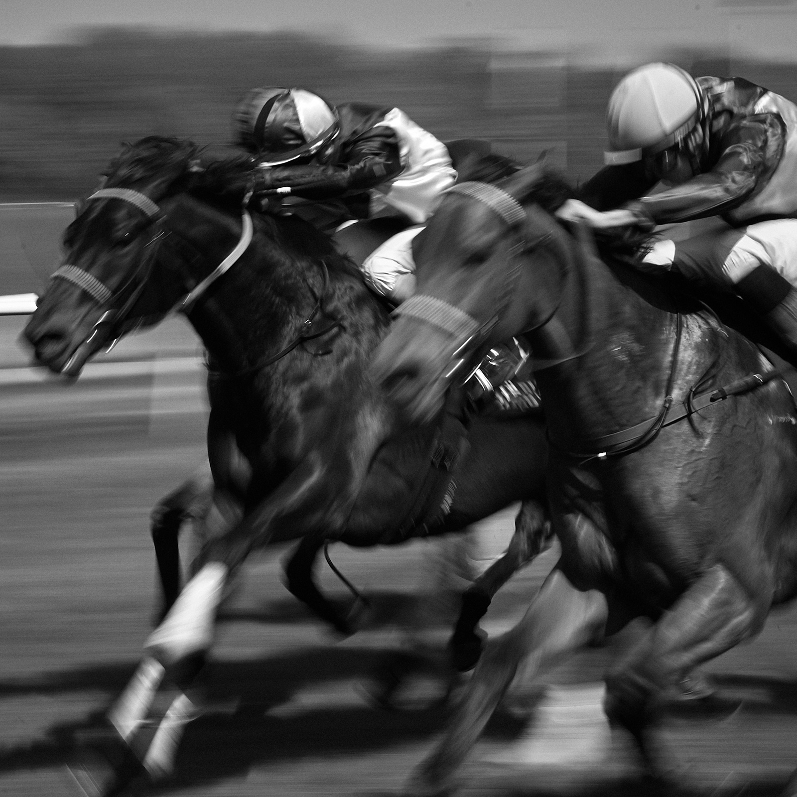 Horse   Race   Af   Jakob   Evers