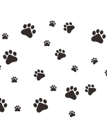 Hunde   Wallsticker   Med   Søde   Hundepoter    Få   Hunde   Poteaftryk   På   Væggen