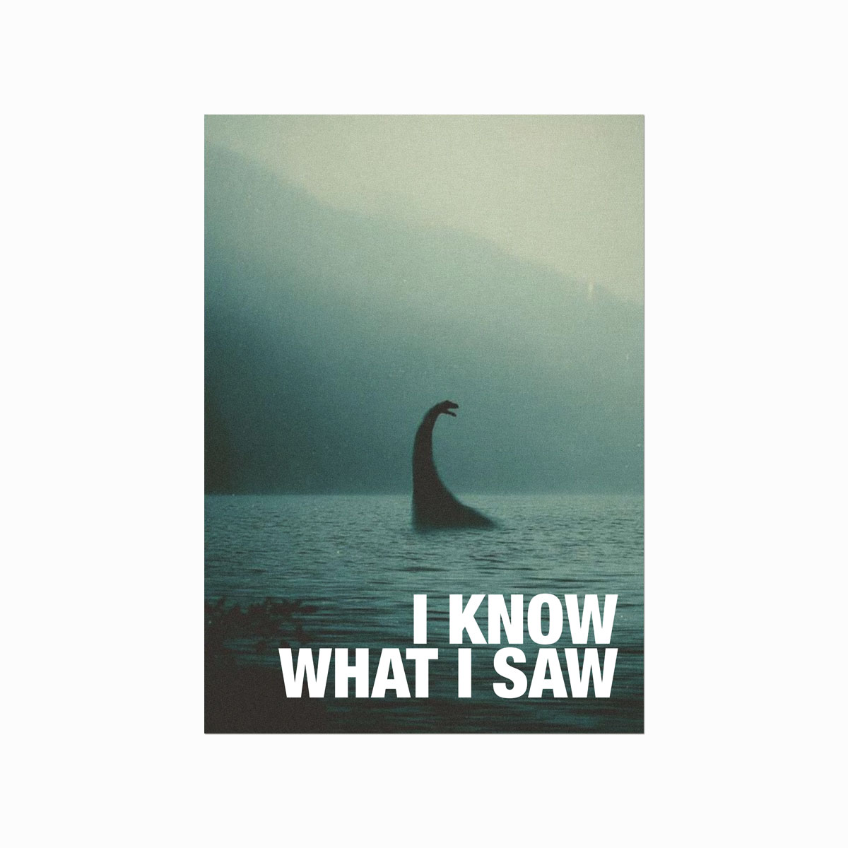 I   Know   What   I   Saw