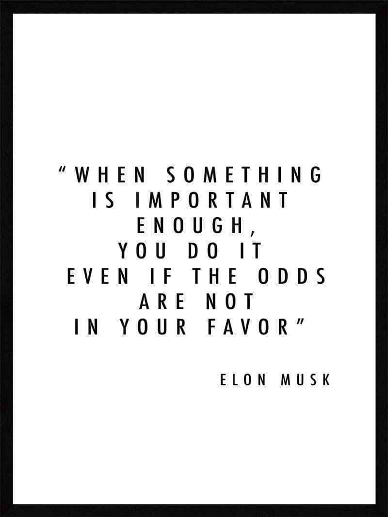 Important   Enough   Elon   Musk   Plakat
