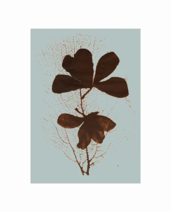 Imprint   01