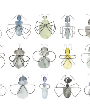 Insecta   Af   Lise   Søgaard