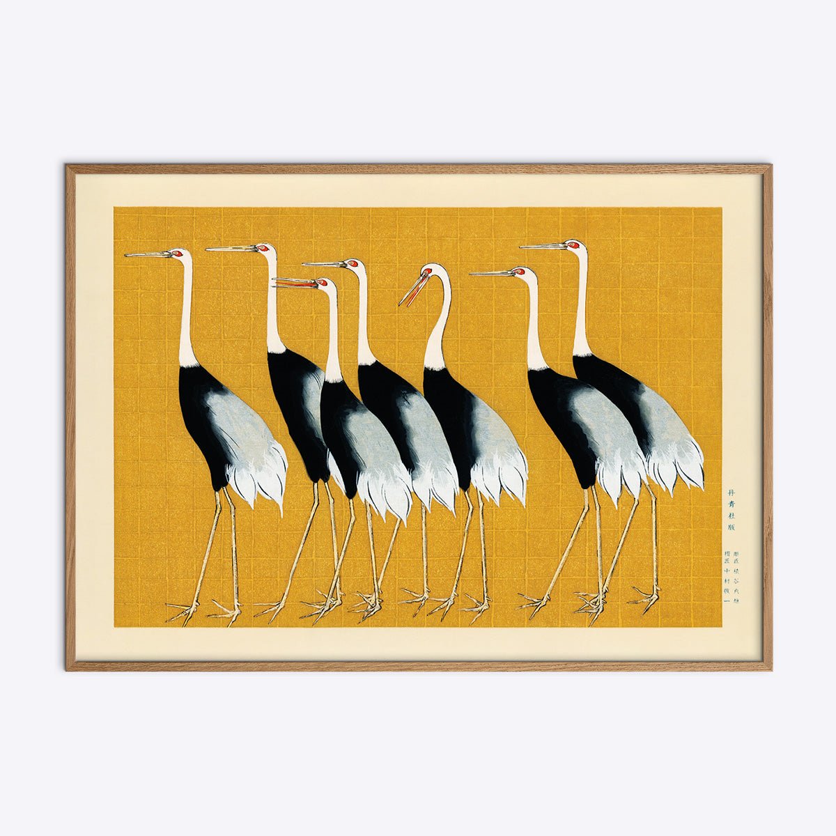 Japanese   Red   Crown   Cranes
