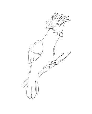 Kakadu   Af   Pluma   Posters